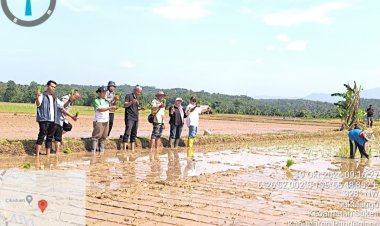 Kepala BBPOPT Bersama  DPKP Kabupaten Pandeglang Laksanakan Gertam Padi LTT di Poktan Sri Clay Desa Sukalangu  Kecamatan Saketi