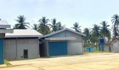 IKM Porang dan P4 Apresiasi Kepada Kejari Pandeglang, Terkait Respon Kasus SIKM Porang Panimbang