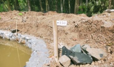 Diduga Ada Permainan Pendamping, Dinas dan Kelompok, Program P3AI Desa Kadubadak Angsana Dikerjakan Asal Jadi