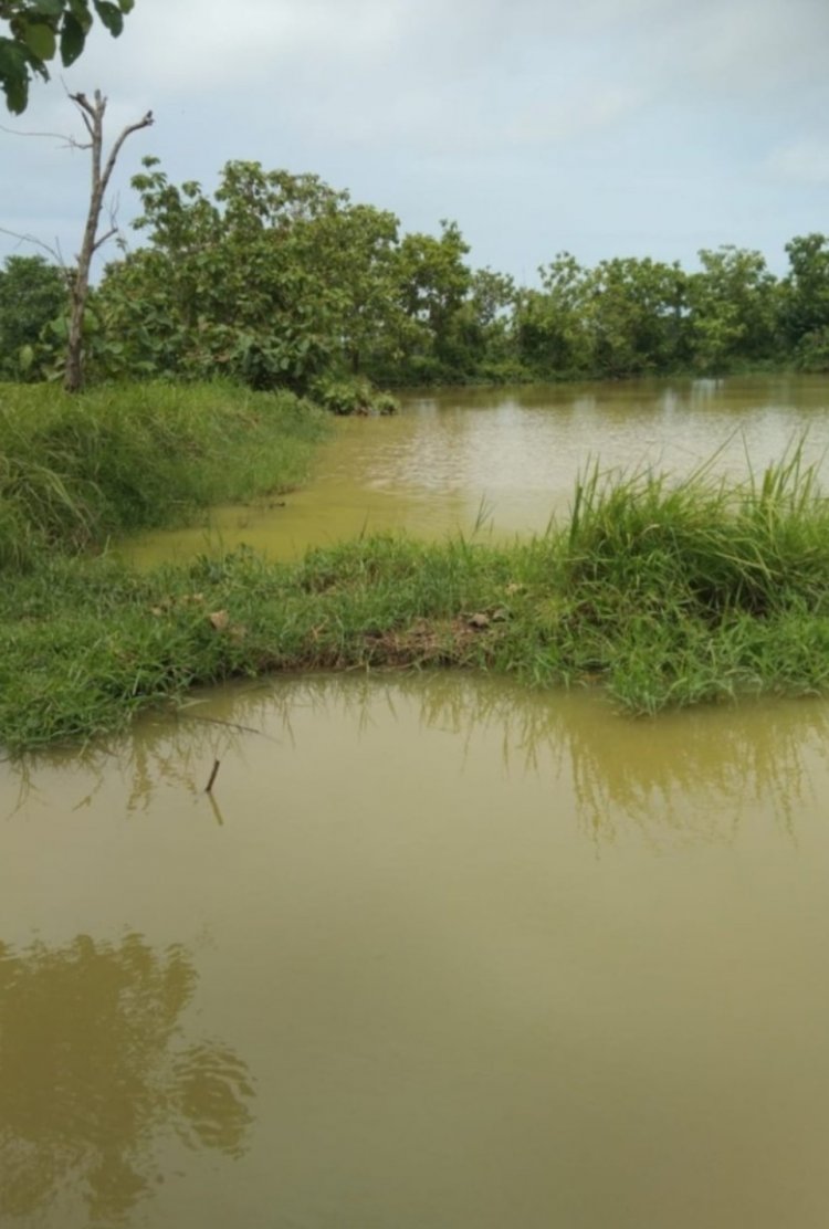 DPC GWI Pandeglang, Menyikapi Terkait Keberadaan Tambak Udang Yang Mengakibatkan Banjir Didesa Mekarsari Panimbang