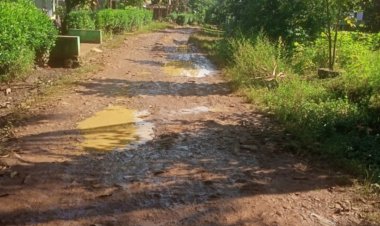 Warga Desa Cisereheun Cigeulis Mengeluhkan, Puluhan Tahun Jalan Poros Kabupaten Rusak Parah Tak Kunjung Dibangun,