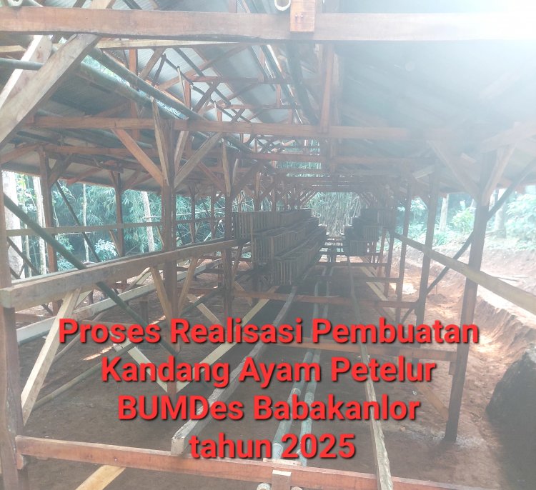 BUMDes Babakanlor Cikedal, Realisasikan Program Ternak Ayam Petelur Untuk Mendukung Ketahan Pangan