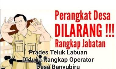 Perangkat Desa Teluk Diduga Rangkap Operator Desa Banyubiru Labuan, Disoal DPC GWI Pandeglang