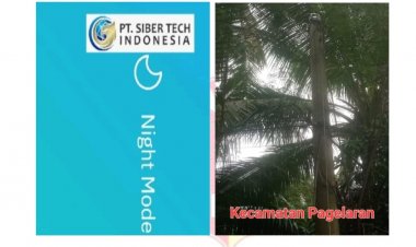 Surat Klarifikasi Tidak Di Gubris, DPC GWI Akan Lakukan Aksi Unras Ke Kantor PLN Unit Labuan