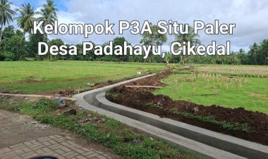 Membantu Petani, Program P3-TGAI Kelompok P3A Situ Paler Padahayu Di Apresiasi Warga