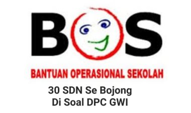 DPC GWI Akan Layangkan Lapdu Ke Dindikpora Terkait Realisasi Dana BOS & PPPK Paruh Waktu