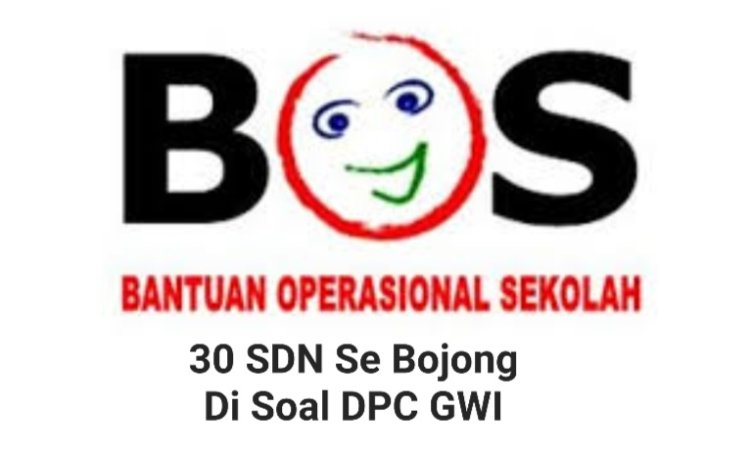 DPC GWI Akan Layangkan Lapdu Ke Dindikpora Terkait Realisasi Dana BOS & PPPK Paruh Waktu