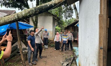 Pohon Tumbang Timpa Rumah Warga Desa Cipicung  Akibat Curah Hujan Deras, Kapolsek Cikedal Gerak Cepat Lakukan Evakuasi