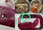 DPC AMIRA Minta BGN Suspend SPPG Banyubiru Labuan Pandeglang, Terkait Menu Berbelatung Viral dan Dugaan Langgar SOP BGN
