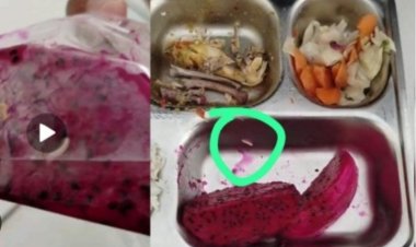 DPC AMIRA Minta BGN Suspend SPPG Banyubiru Labuan Pandeglang, Terkait Menu Berbelatung Viral dan Dugaan Langgar SOP BGN