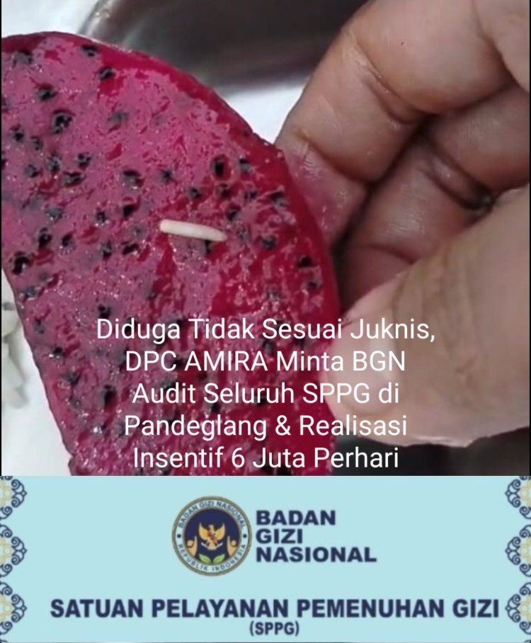 Sapras & Menu Diduga Kurang Layak, DPC AMIRA Minta BGN Lakukan Audit Seluruh SPPG Di Pandeglang