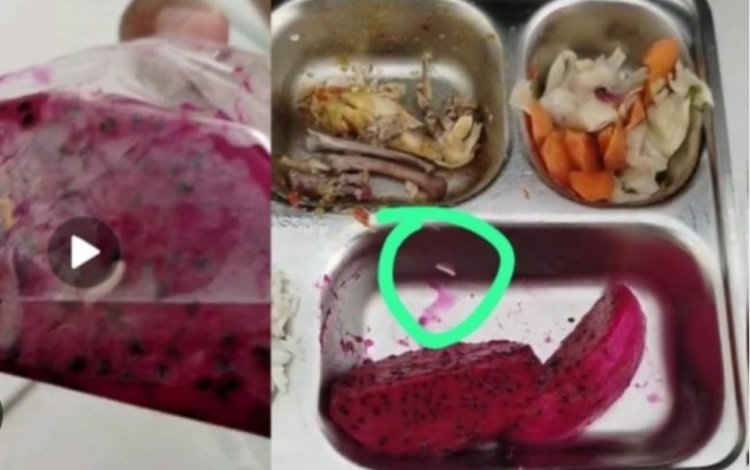 DPC AMIRA Minta BGN Suspend SPPG Banyubiru Labuan Pandeglang, Terkait Menu Berbelatung Viral dan Dugaan Langgar SOP BGN