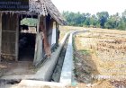 Warga Padahayu Ucapkan Terimakasih, Atas Dibangunnya Dua Proyek P3-TGAI Tahun 2026, Daerah Irigasi Ciangga Desa Padahayu Cikedal, Aspirasi dari Drs. Ahmad Fauzi
