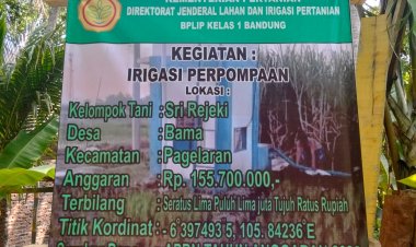 Diduga Ketua Poktan Rangkap Jabatan sebagai Ketua UPKK Proyek Irigasi Perpompaan Desa Bama, Pengelolaan Dana APBN Rp155,7 Juta Disorot Publik